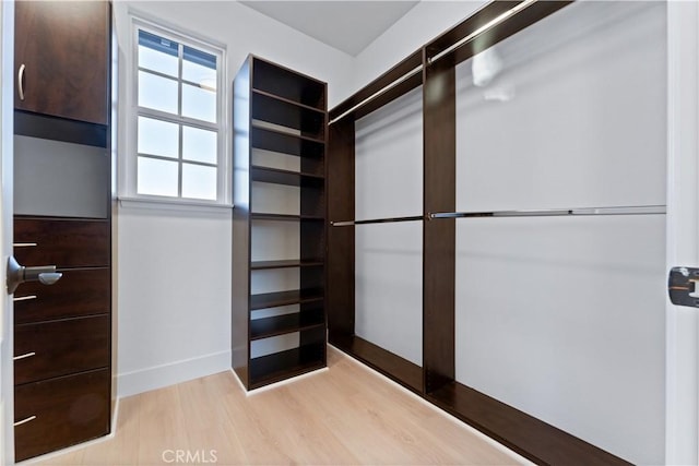 spacious closet featuring light hardwood / wood-style flooring