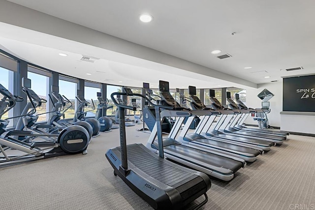 exercise room featuring carpet