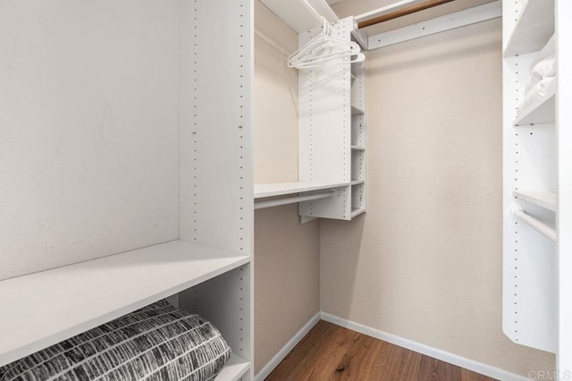 spacious closet featuring wood-type flooring