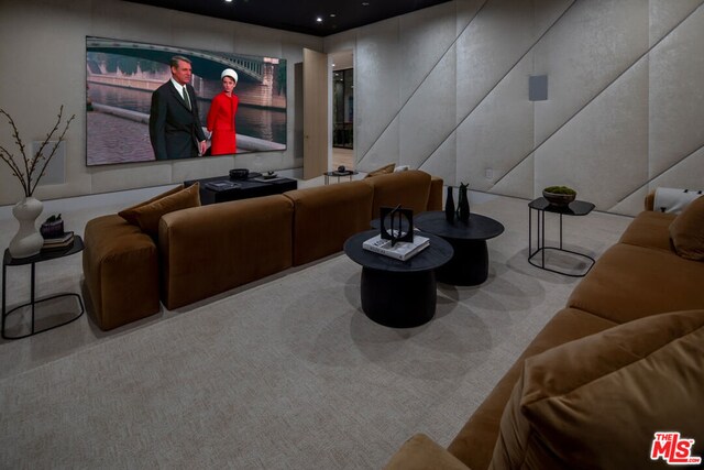 home theater room with light carpet