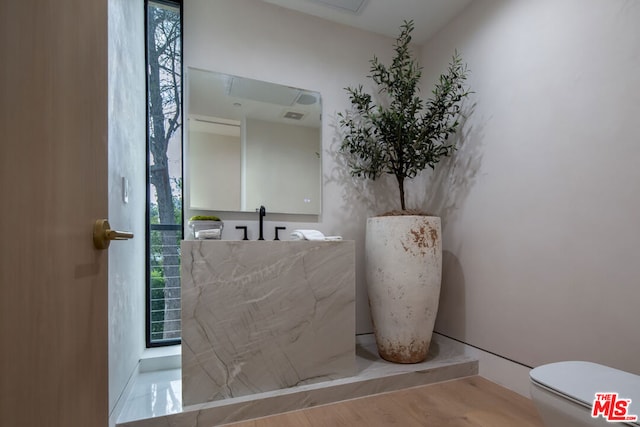 bathroom with toilet, a healthy amount of sunlight, and wood-type flooring