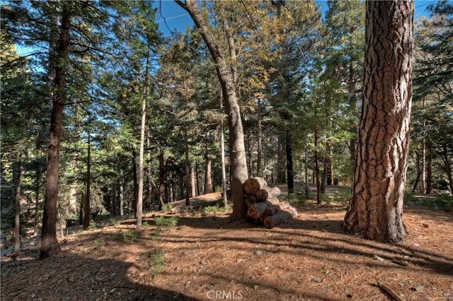 view of local wilderness