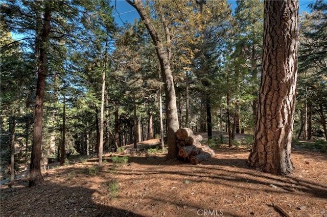 view of nature