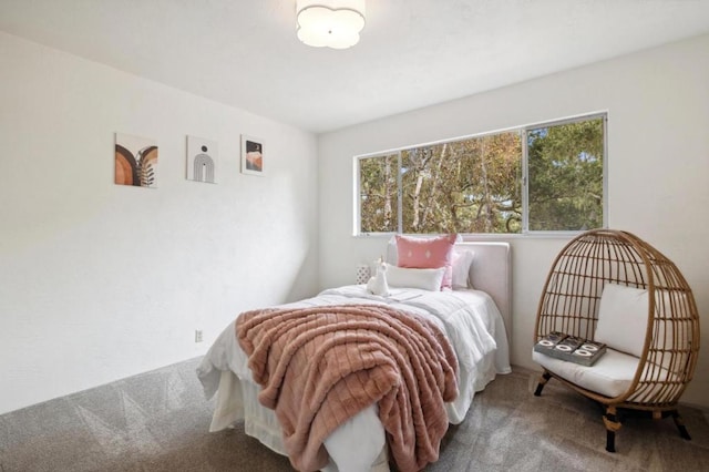 bedroom featuring multiple windows and carpet flooring