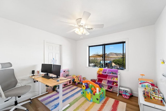 office space with ceiling fan and hardwood / wood-style floors