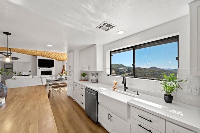 kitchen with dishwasher, white cabinets, and tasteful backsplash