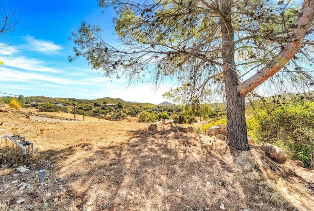 view of local wilderness