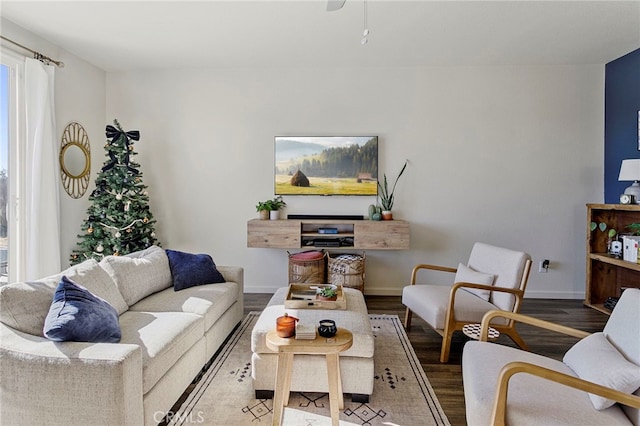 living room featuring hardwood / wood-style floors