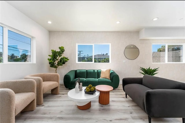 living room featuring a wealth of natural light and light hardwood / wood-style flooring