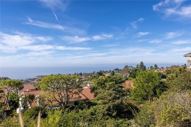 6542 Ocean Crest Dr Unit C-309, Rancho Palos Verdes, CA 90275 - bird's eye view