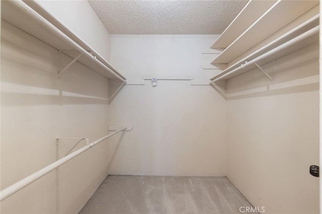 6542 Ocean Crest Dr Unit C-309, Rancho Palos Verdes, CA 90275 - walk in closet with light carpet