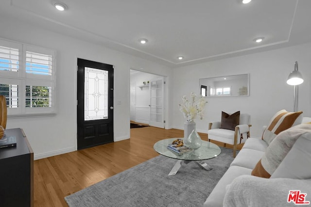 living room featuring light wood-type flooring