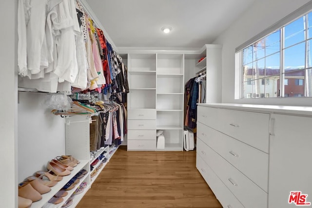 walk in closet with wood-type flooring