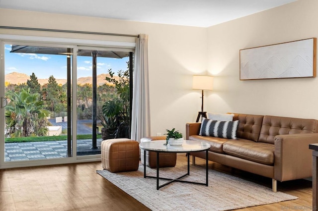 living room with a mountain view and hardwood / wood-style flooring