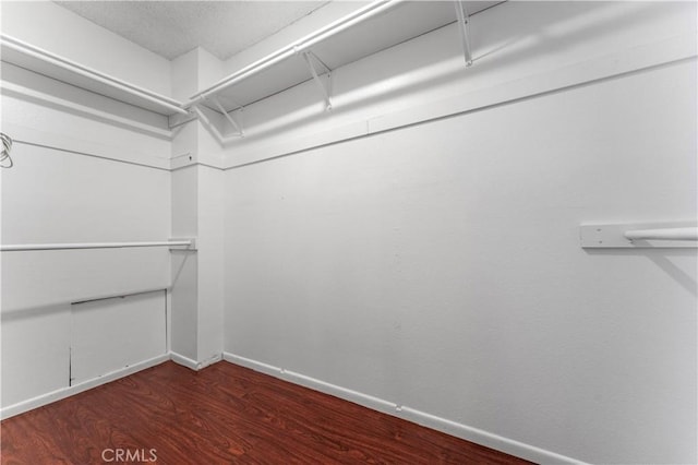 spacious closet featuring dark wood-type flooring