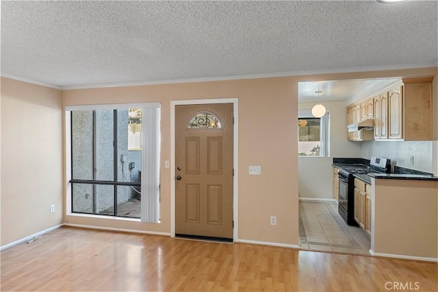 foyer with a textured ceiling, light hardwood / wood-style floors, a wealth of natural light, and ornamental molding