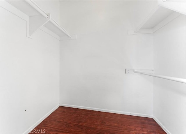 walk in closet featuring dark hardwood / wood-style floors