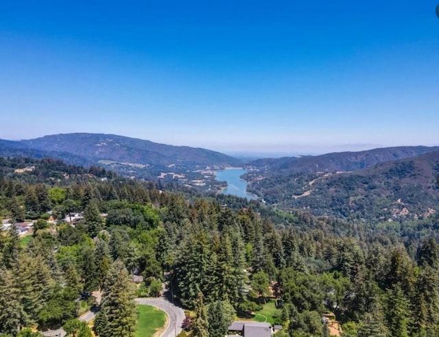 drone / aerial view with a water and mountain view