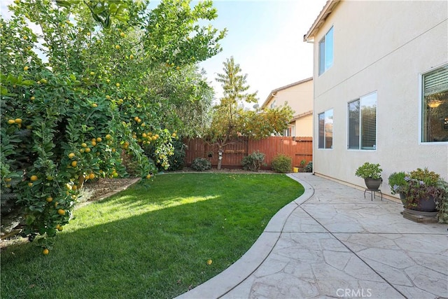 view of yard featuring a patio