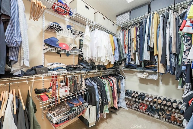 spacious closet featuring carpet floors