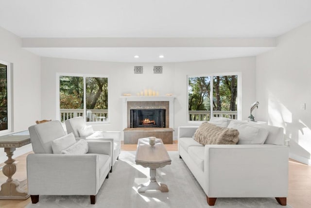 living room featuring light hardwood / wood-style floors, a tile fireplace, and a wealth of natural light