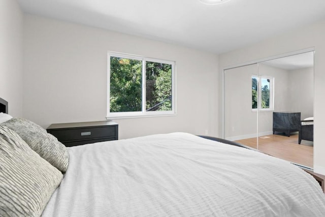 bedroom with multiple windows, a closet, and hardwood / wood-style floors