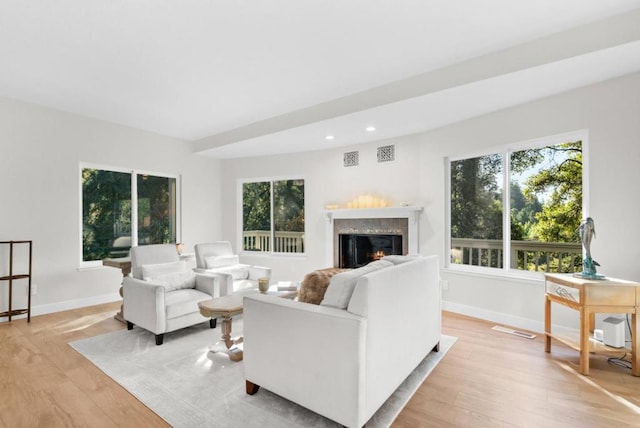 living room featuring light hardwood / wood-style floors