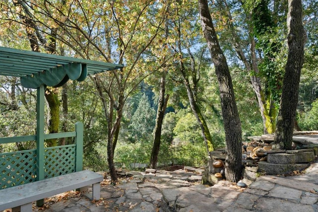 view of home's community with a pergola