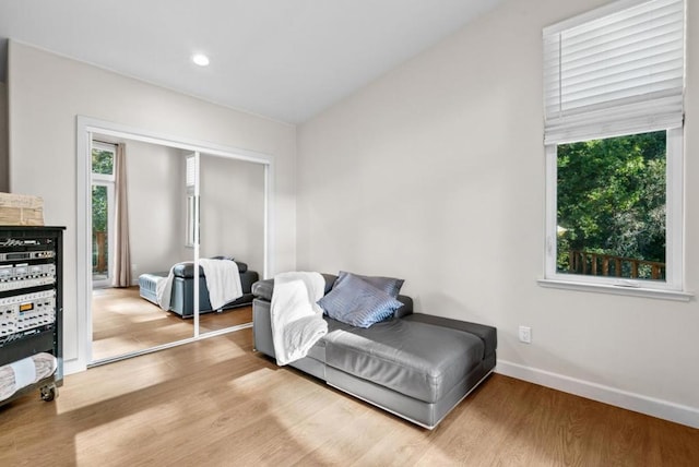 sitting room featuring wood-type flooring