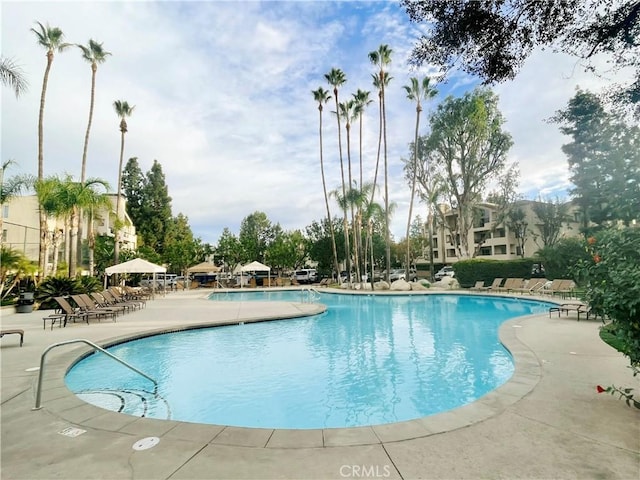 view of pool with a patio