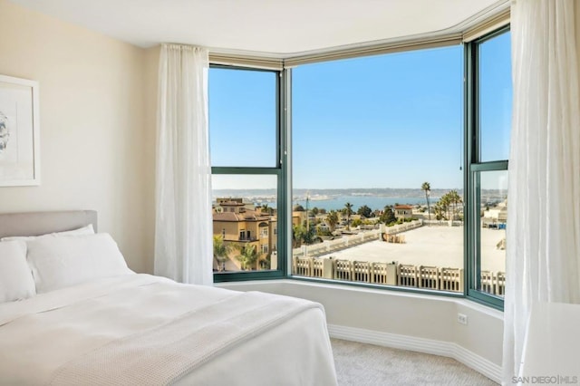 carpeted bedroom featuring a water view