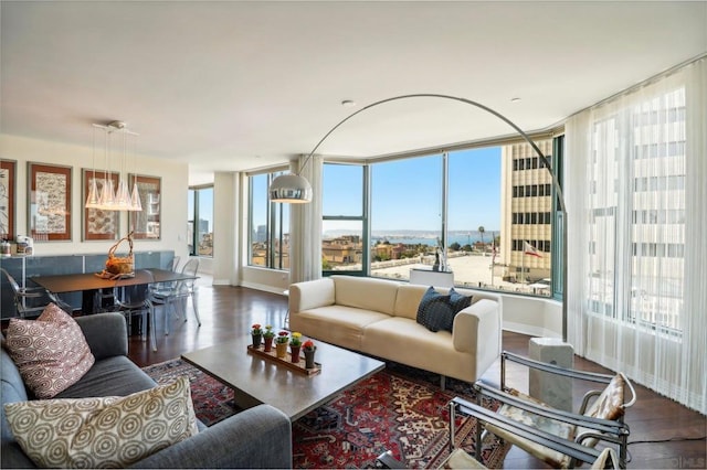 living room featuring hardwood / wood-style floors