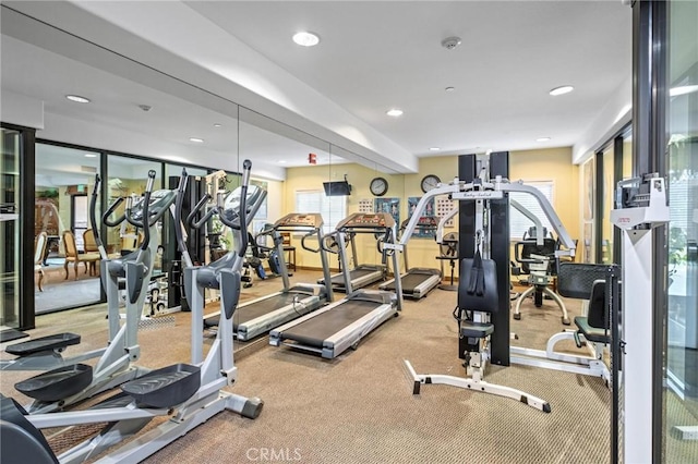 exercise room with carpet flooring and plenty of natural light