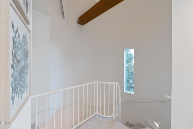 interior space featuring carpet flooring, beam ceiling, and a high ceiling