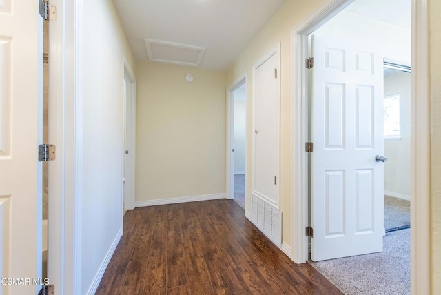 hall featuring dark hardwood / wood-style flooring