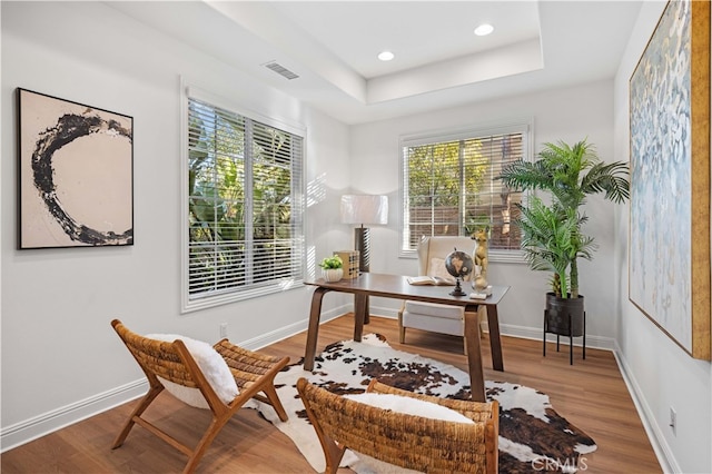 home office featuring a raised ceiling and hardwood / wood-style floors