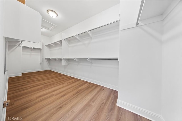 spacious closet featuring light hardwood / wood-style floors