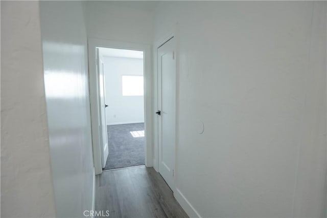 hall featuring dark hardwood / wood-style floors