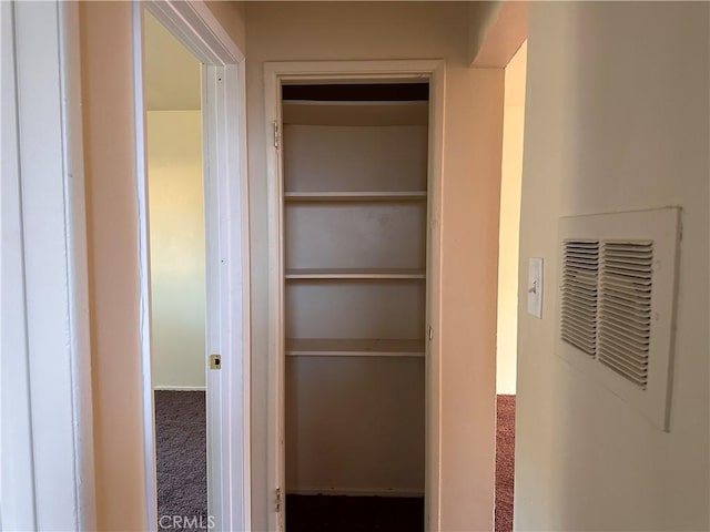 view of closet