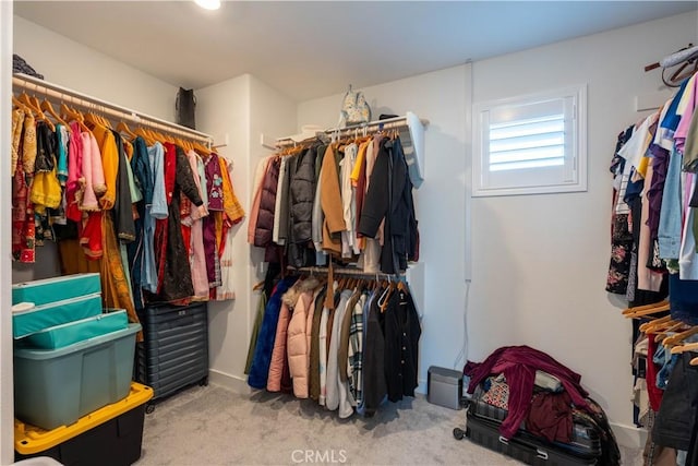 spacious closet featuring light colored carpet