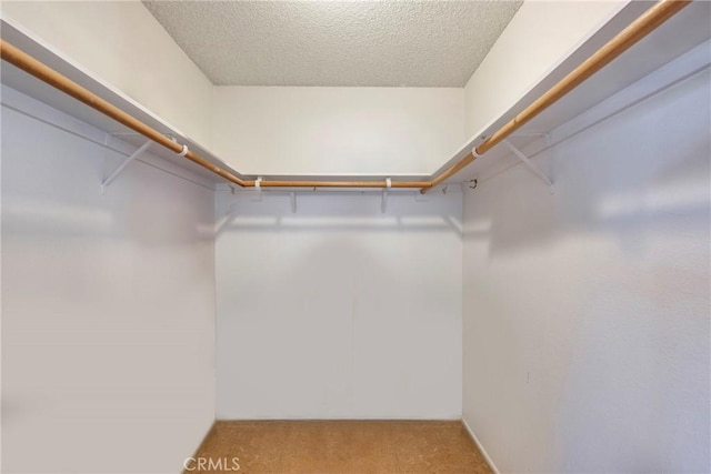 walk in closet featuring carpet flooring