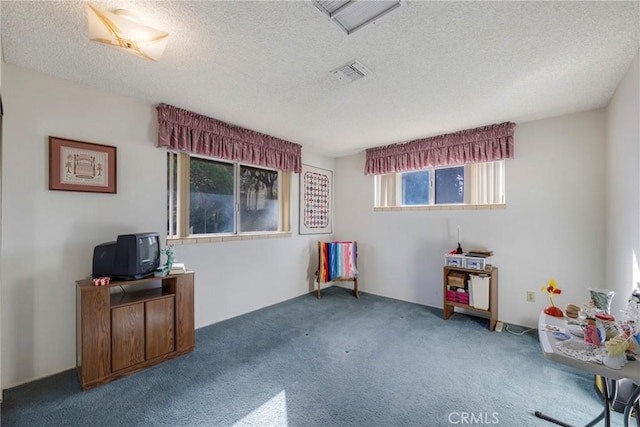 miscellaneous room featuring carpet floors and a textured ceiling