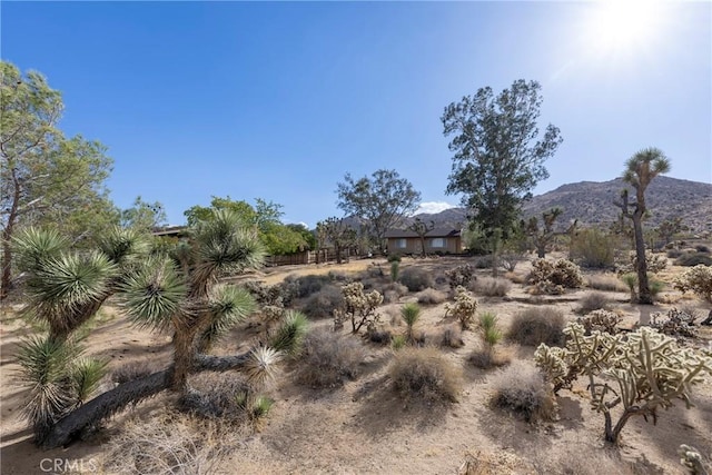 60383 Melton Trl, Joshua Tree, CA 92252 - photo 63