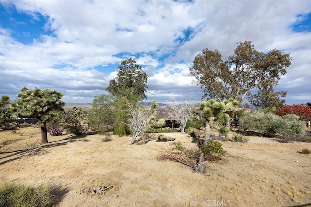 60383 Melton Trl, Joshua Tree, CA 92252 - photo 59