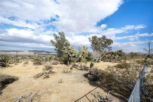 60383 Melton Trl, Joshua Tree, CA 92252 - photo 67