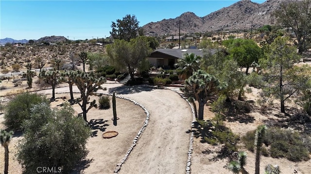 60383 Melton Trl, Joshua Tree, CA 92252 - photo 8