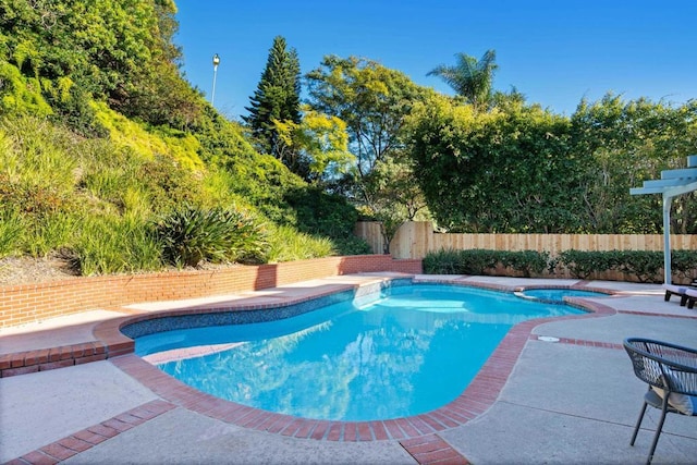 view of pool featuring a patio area