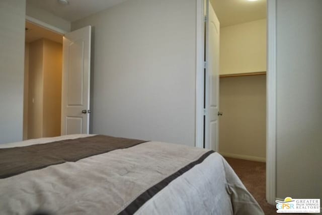 bedroom with carpet flooring, a spacious closet, and a closet