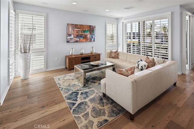 living room with hardwood / wood-style floors and plenty of natural light