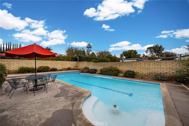 view of pool with a patio area